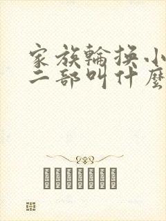 家族轮换小说第二部叫什么名字