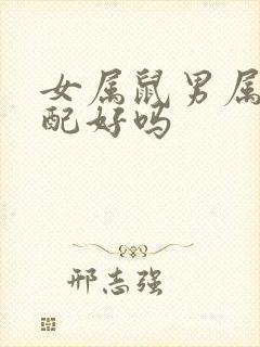 女属鼠男属猪婚配好吗