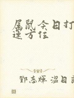 属鼠今日打牌财运方位