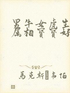 男牛女虎生什么属相宝宝好