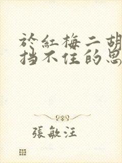 于红梅二胡演奏挡不住的思念