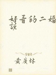 好看的二婚文小说