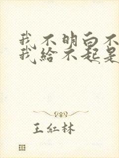 我不明白不明白我给不起是什么歌