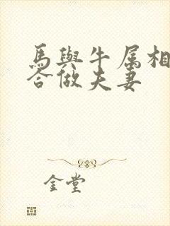 马与牛属相合不合做夫妻