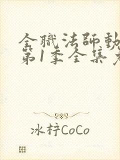 全职法师动画片第1季全集免费观看