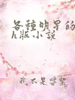 各种明星的综艺h版小说