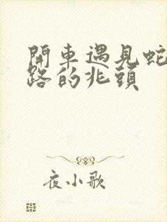 开车遇见蛇过马路的兆头