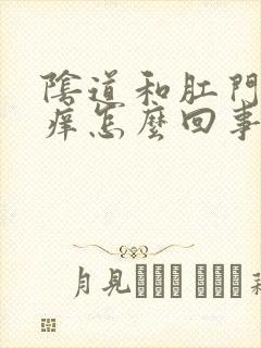 阴道和肛门之间痒怎么回事