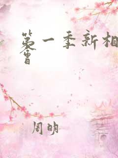 第一季新相亲大会