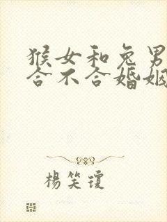 猴女和兔男属相合不合婚姻