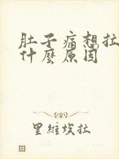 肚子痛想拉大便什么原因