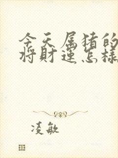 今天属猪的打麻将财运怎样