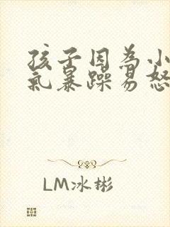 孩子因为小事脾气暴躁易怒