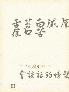 舌苔白腻厚有齿痕口苦