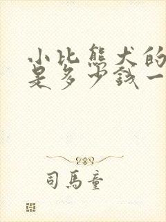 小比熊犬的价格是多少钱一只