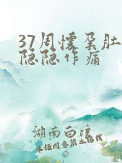 37周怀孕肚子隐隐作痛