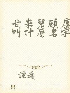 甘米儿顾尘小说叫什么名字