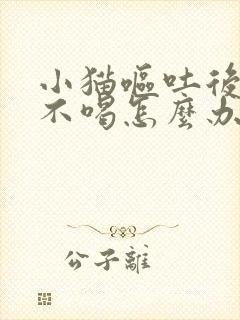 小猫呕吐后不吃不喝怎么办