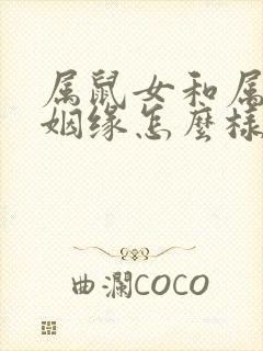 属鼠女和属狗男姻缘怎么样