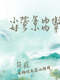 小阴唇内侧长了好多小肉芽一样的