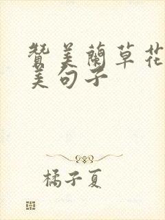 赞美兰草花的唯美句子