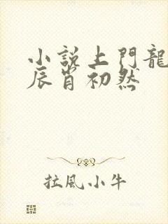 小说上门龙婿叶辰肖初然