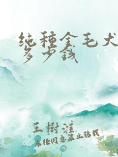 纯种金毛犬幼犬多少钱