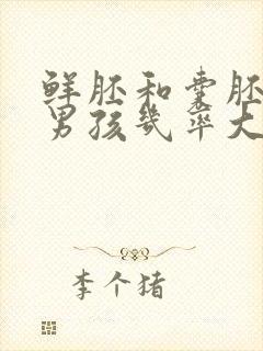 鲜胚和囊胚哪个男孩几率大