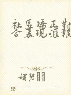 社区矫正对象综合表现汇报