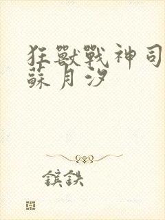 狂兽战神司空靖苏月汐