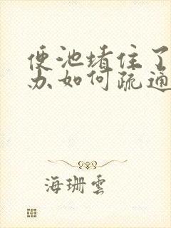 便池堵住了怎么办如何疏通