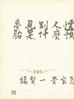 梦见别人怀双胞胎是什么预兆