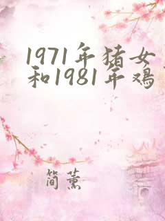 1971年猪女和1981年鸡男合财吗