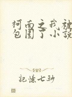 柯南之我被卧底包围了小说