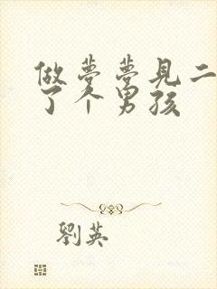 做梦梦见二胎生了个男孩