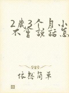 2岁3个月小孩不会说话怎么办