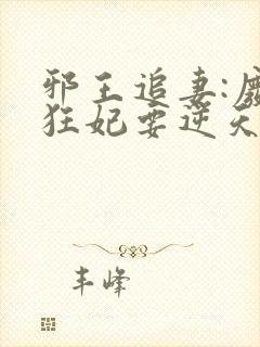 邪王追妻:废材狂妃要逆天