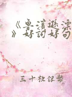 《鲁滨逊漂流记》好词好句