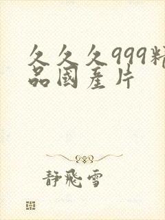 久久久999精品国产片