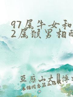 97属牛女和92属猴男相配吗
