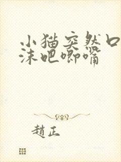 小猫突然口吐白沫吧唧嘴