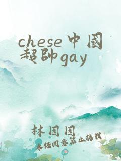 chese中国超帅gay