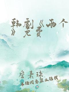 韩剧《两个妻子》免费