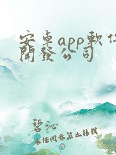 安卓app软件开发公司