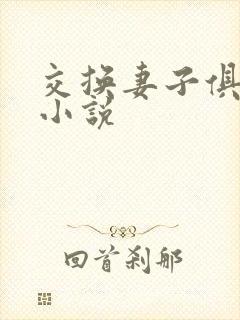 交换妻子俱乐部小说