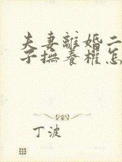 夫妻离婚二个孩子抚养权怎么判定