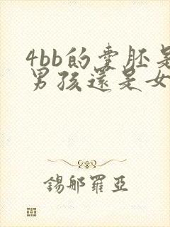 4bb的囊胚是男孩还是女孩