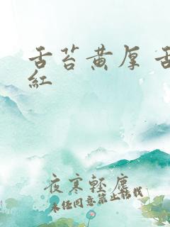 舌苔黄厚 舌尖红