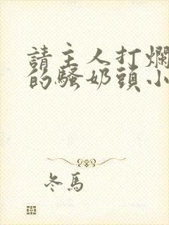 请主人打烂贱奴的骚奶头小说