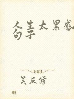 人生太累感悟的句子